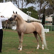 2012 Top Of The Range Event - Queensland 