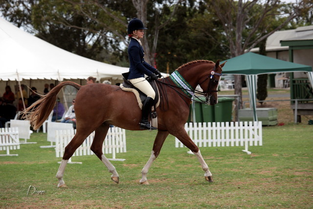 2012 Top Of The Range Event - Queensland 