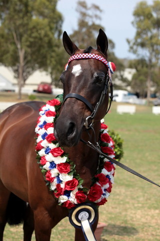 2012 Top Of The Range Event - Queensland 