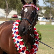 2012 Top Of The Range Event - Queensland 