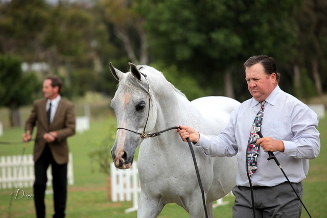 2012 Top Of The Range Event - Queensland 