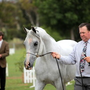 2012 Top Of The Range Event - Queensland 