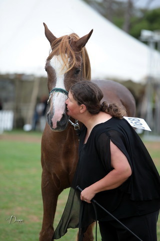 2012 Top Of The Range Event - Queensland 
