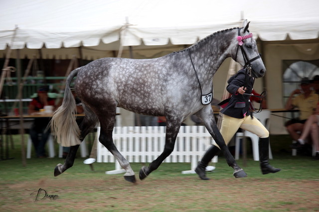 2012 Top Of The Range Event - Queensland 