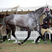 2012 Top Of The Range Event - Queensland 