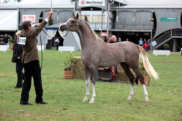 2012 Top Of The Range Event - Queensland 