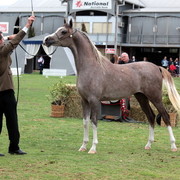 2012 Top Of The Range Event - Queensland 