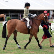 2012 Top Of The Range Event - Queensland 