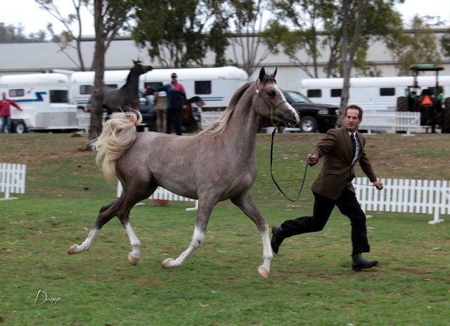 2012 Top Of The Range Event - Queensland 