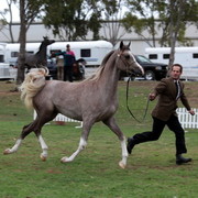 2012 Top Of The Range Event - Queensland 