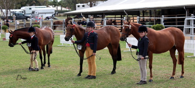 2012 Top Of The Range Event - Queensland 