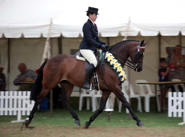 2012 Top Of The Range Event - Queensland 