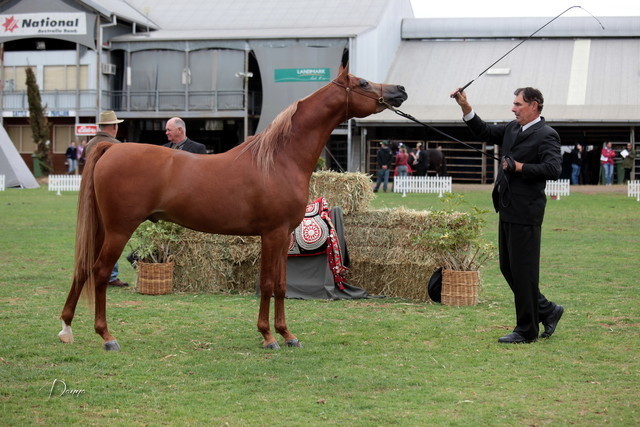 2012 Top Of The Range Event - Queensland 