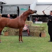 2012 Top Of The Range Event - Queensland 