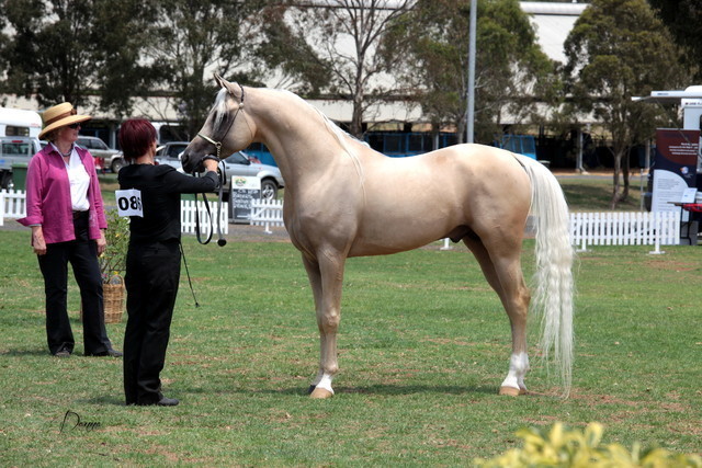 2012 Top Of The Range Event - Queensland 