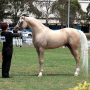 2012 Top Of The Range Event - Queensland 
