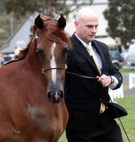 2012 Top Of The Range Event - Queensland 