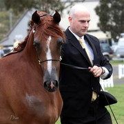 2012 Top Of The Range Event - Queensland 