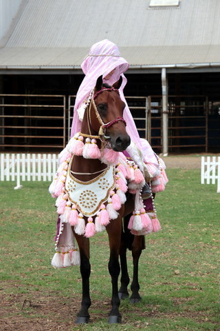 2012 Top Of The Range Event - Queensland 