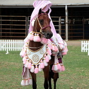 2012 Top Of The Range Event - Queensland 