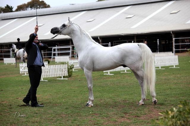 2012 Top Of The Range Event - Queensland 