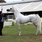 2012 Top Of The Range Event - Queensland 