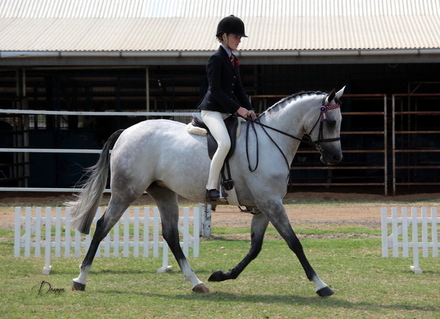 2012 Top Of The Range Event - Queensland 