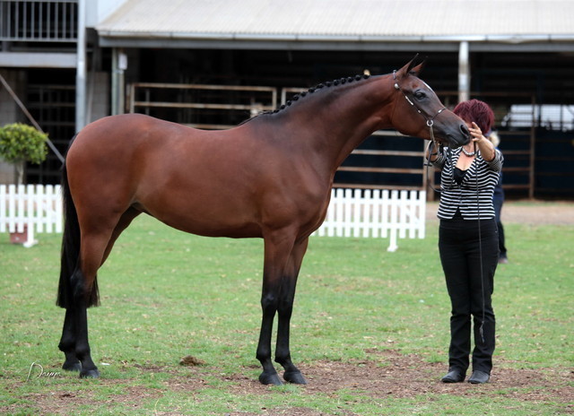 2012 Top Of The Range Event - Queensland 