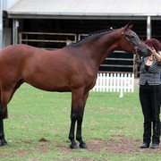 2012 Top Of The Range Event - Queensland 