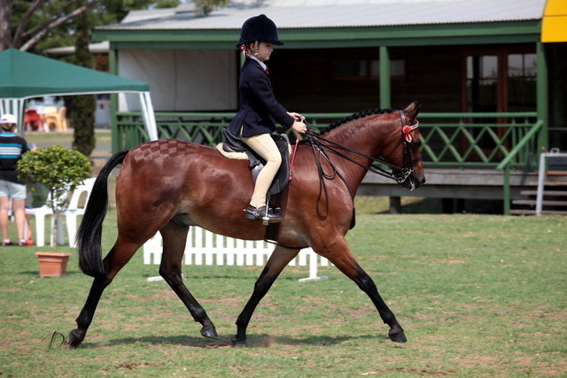 2012 Top Of The Range Event - Queensland 