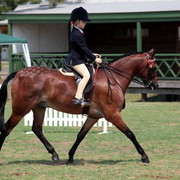 2012 Top Of The Range Event - Queensland 