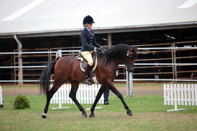 2012 Top Of The Range Event - Queensland 