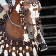 2012 Top Of The Range Event - Queensland 