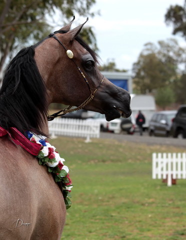 2012 Top Of The Range Event - Queensland 