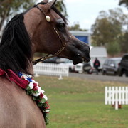 2012 Top Of The Range Event - Queensland 
