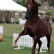 2012 Top Of The Range Event - Queensland 