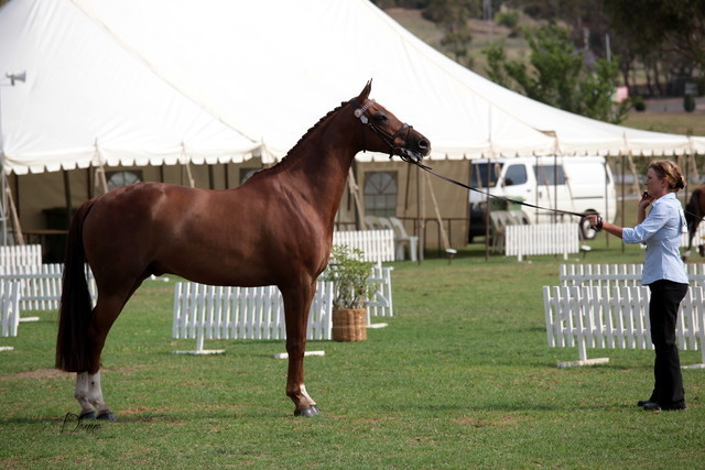 2012 Top Of The Range Event - Queensland 
