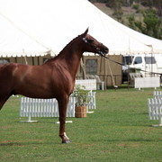 2012 Top Of The Range Event - Queensland 