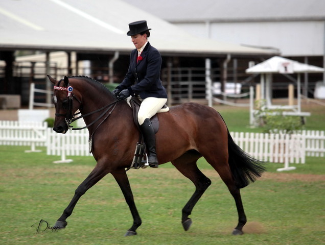 2012 Top Of The Range Event - Queensland 