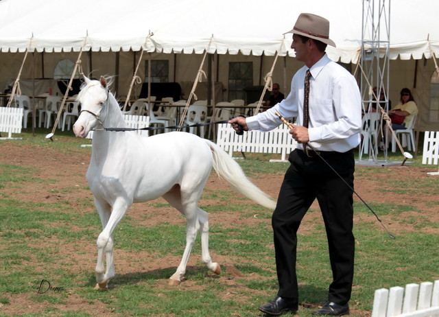 2012 Top Of The Range Event - Queensland 