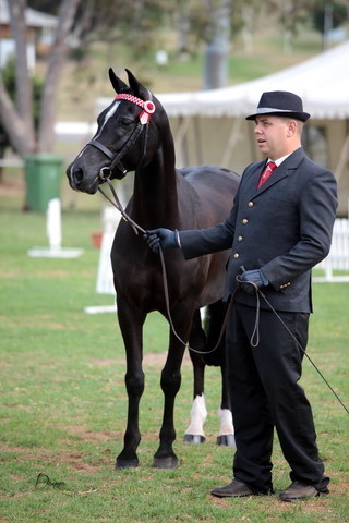 2012 Top Of The Range Event - Queensland 