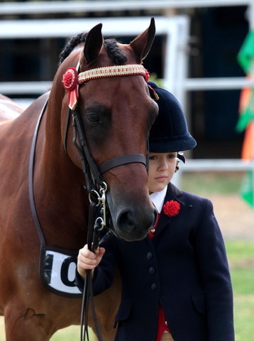 2012 Top Of The Range Event - Queensland 
