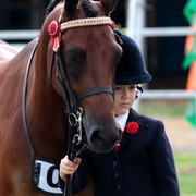 2012 Top Of The Range Event - Queensland 