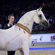 2012 Paris - Salon du Cheval Show