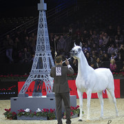 2012 Paris - Salon du Cheval Show