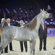 2012 Paris - Salon du Cheval Show