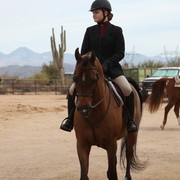 2012-2013 Farm Tours