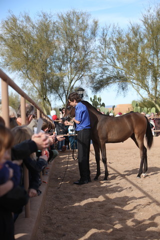 2012-2013 Farm Tours