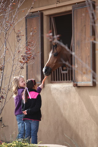 2012-2013 Farm Tours