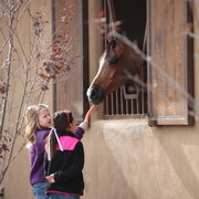 2012-2013 Farm Tours